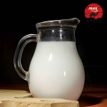 Camel Milk for Weight Loss: Myth or Reality?